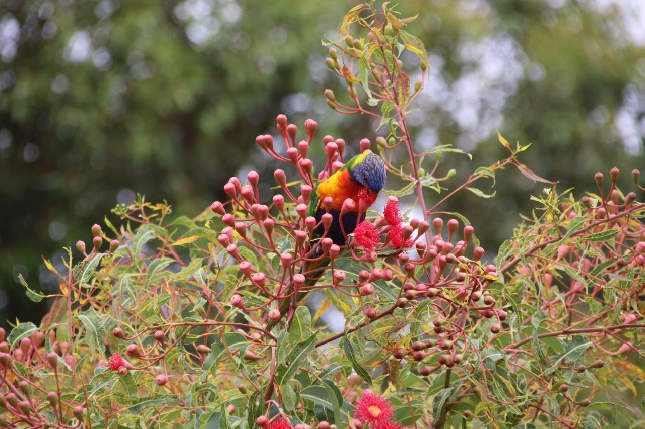 Salamander Bay Bed And Breakfast ภายนอก รูปภาพ