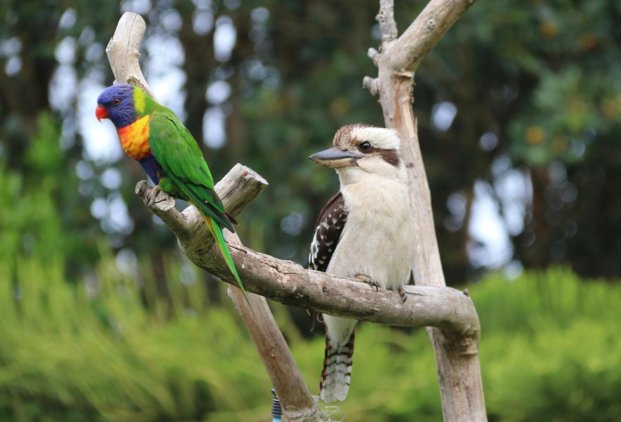 Salamander Bay Bed And Breakfast ภายนอก รูปภาพ